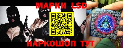 кокс Донской