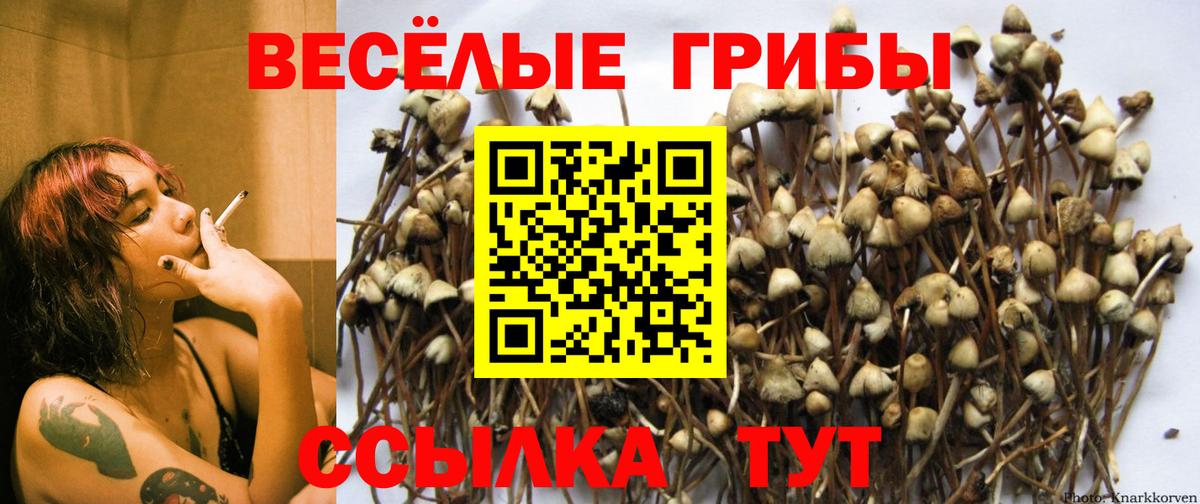 Мегион  Псилоцибиновые грибы MAGIC MUSHROOMS  как найти наркотики  Галлюциногенные грибы Psilocybe  Вход с VPN 