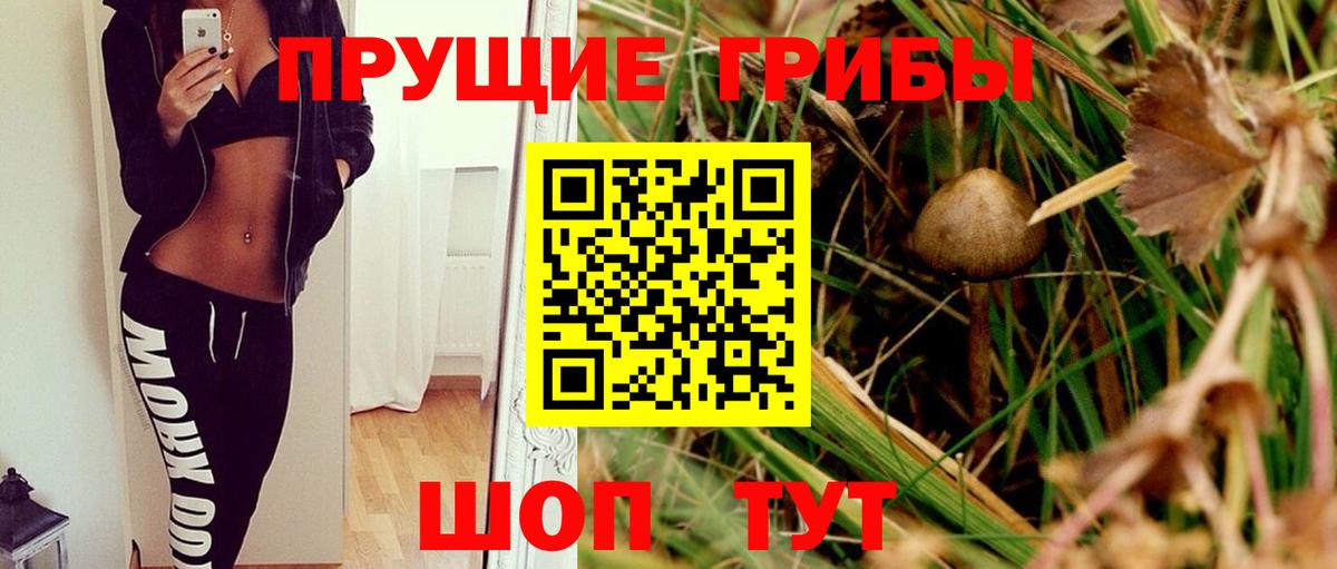 Галлюциногенные грибы Cubensis Мегион